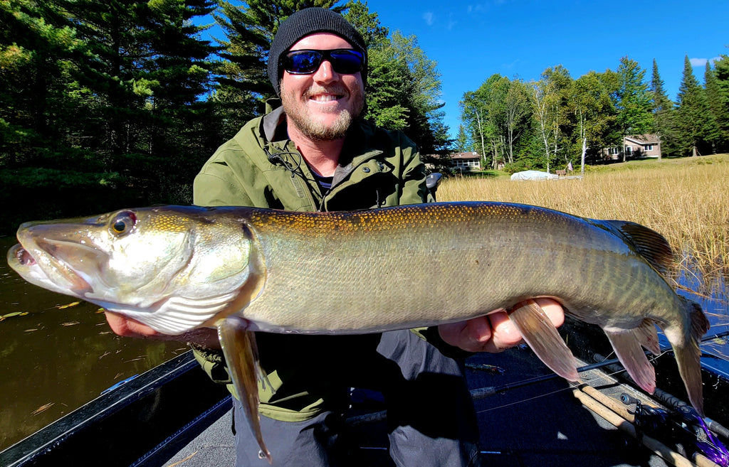 Musky Shop North Woods Fishing Report: Early October