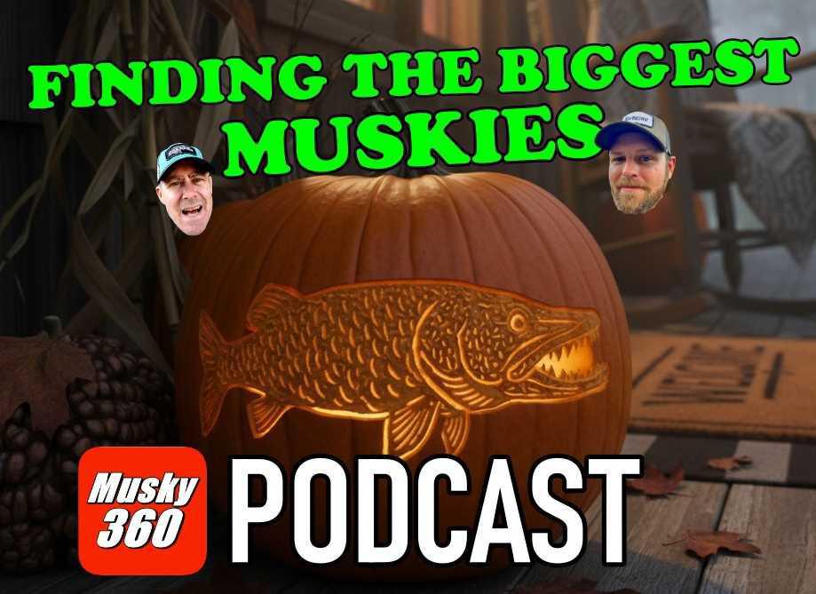 MUSKY 360 PODCAST Episode 305: Finding the Biggest Muskies