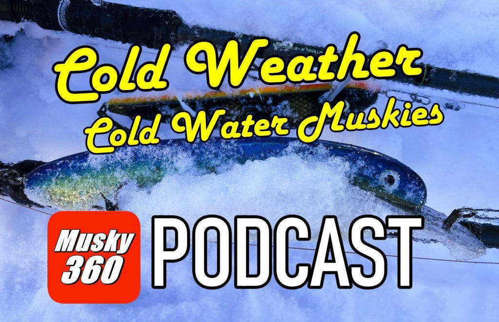 Musky 360 Podcast Episode 307: Cold Weather and Cold Water Muskies