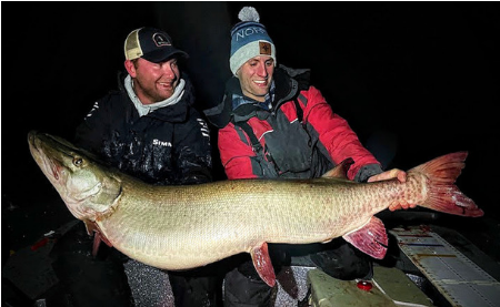 Minnesota State Record likely broken by Musky Angler