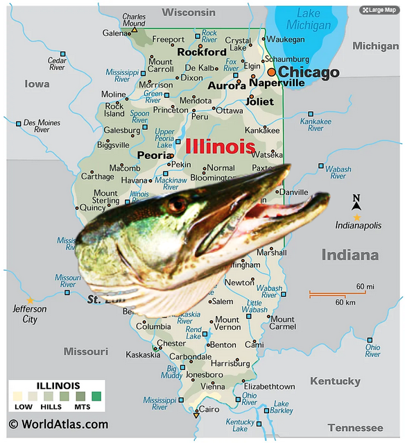 Best Illinois Fishing Spots For Muskie