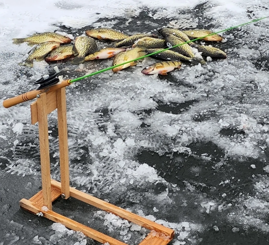 Musky Shop Northwoods Fishing Report: Early December 2025