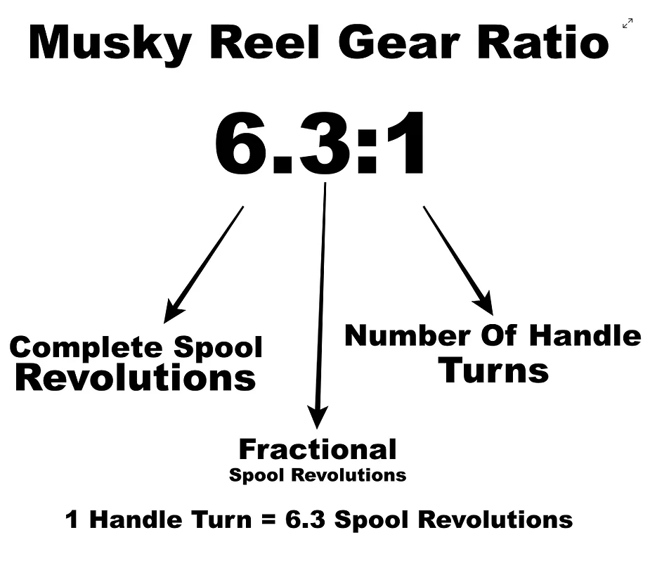 Musky Reel Gear Ratio Explained