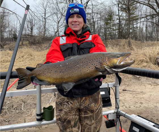 Learn About Green Bay Brown Trout On Feb. 26