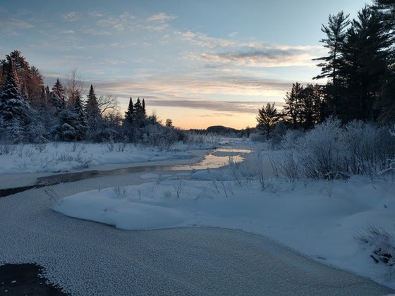 Wisco DNR: Inland Trout Early Catch And Release Season Opens Jan. 4